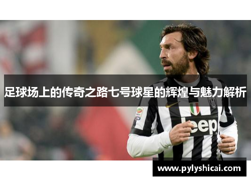 足球场上的传奇之路七号球星的辉煌与魅力解析