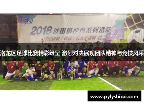 洛龙区足球比赛精彩纷呈 激烈对决展现团队精神与竞技风采