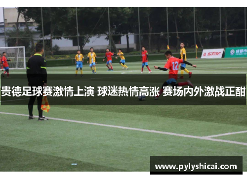 贵德足球赛激情上演 球迷热情高涨 赛场内外激战正酣